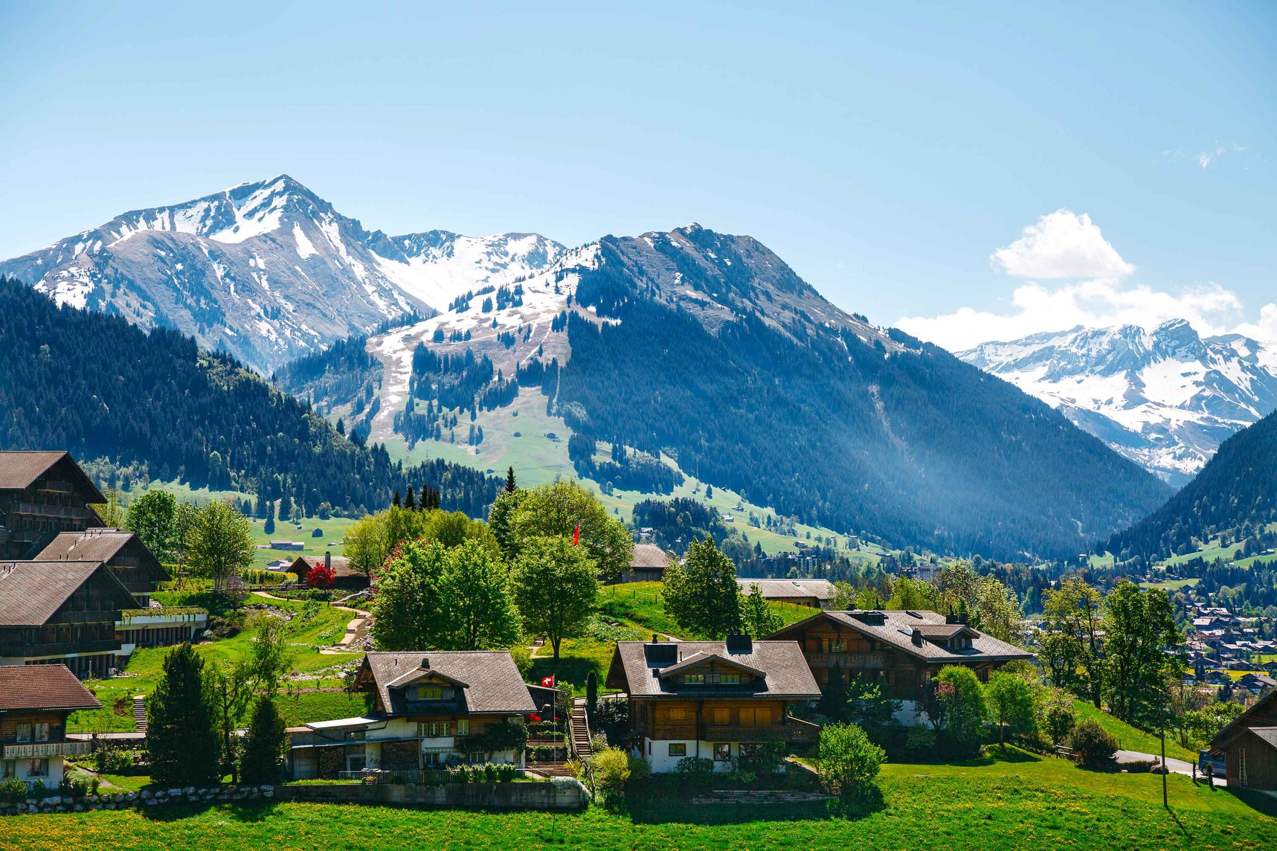 Educational camps in Switzerland