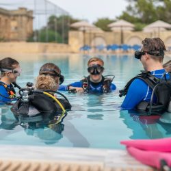 csm_ScubaDiving_4_b69c6da3c3